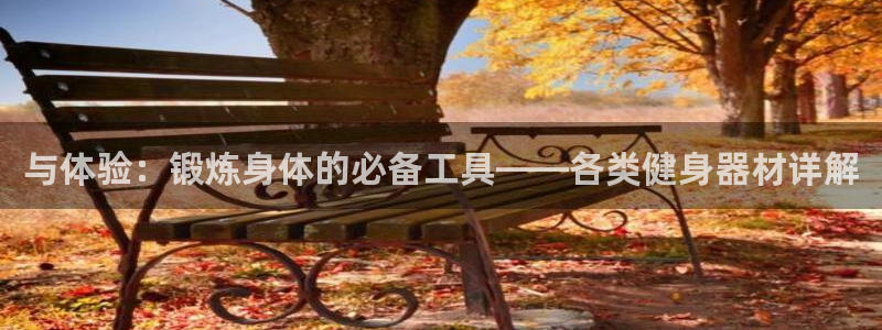 球王会官方平台体育:与体验:锻炼身体的必备工具——各类健身器