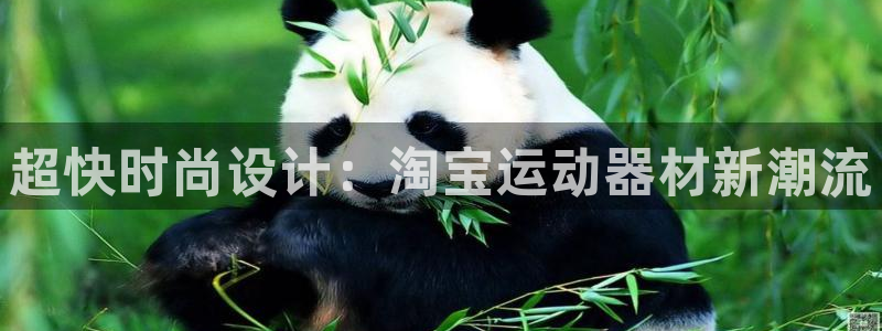 球王会体育官方正版app五金厂:超快时尚设计:淘宝运动器材新